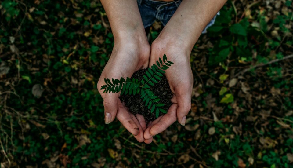 ASviS sul PNRR: necessario il riferimento agli Obiettivi dell’Agenda 2030, in linea con il nuovo corso delle politiche europee