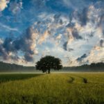 L’agricoltura sostenibile conviene all’ambiente e agli imprenditori