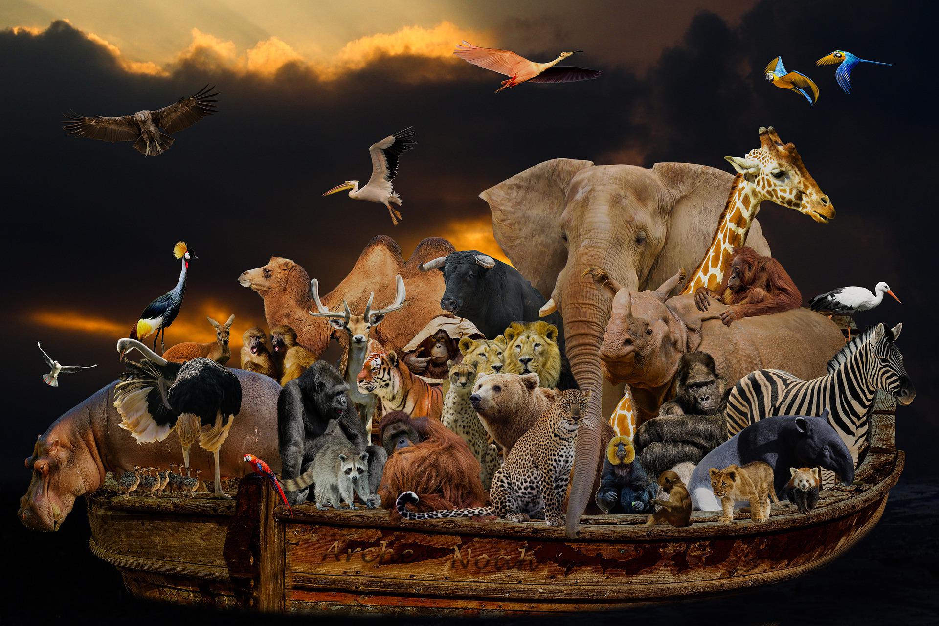 Secondo La Bibbia Gli Animali Hanno Un'anima Gli animali della Bibbia a Roma - Earth Day