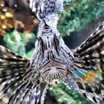 Foto di k_tzito da Pixabay