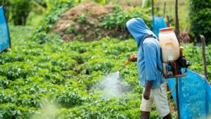 L'utilizzo dei pesticidi è una delle principali cause di morte degli impollinatori